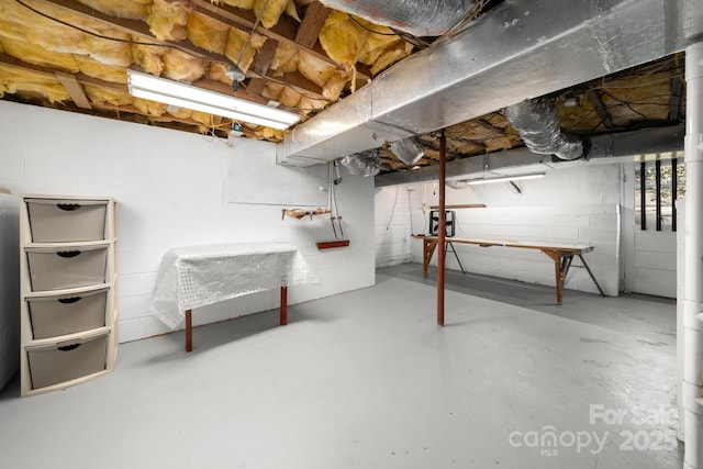 unfinished basement with concrete block wall