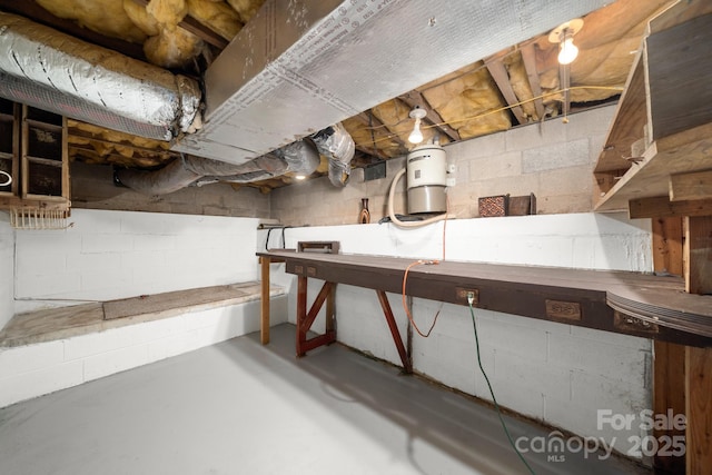 unfinished basement with concrete block wall