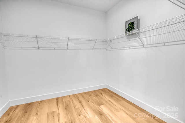 spacious closet with light wood-style flooring