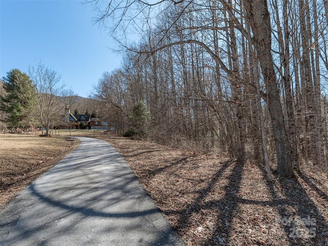 Listing photo 2 for 00 Sams Trl Unit 27, Waynesville NC 28786