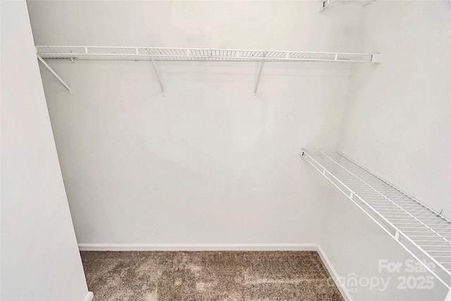 spacious closet with carpet floors