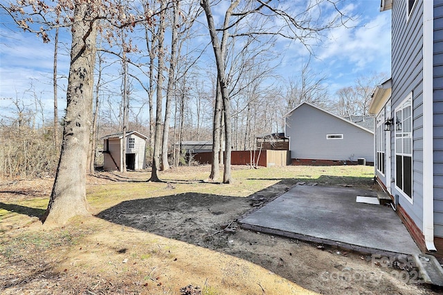 view of yard featuring a storage shed, a patio, and an outdoor structure