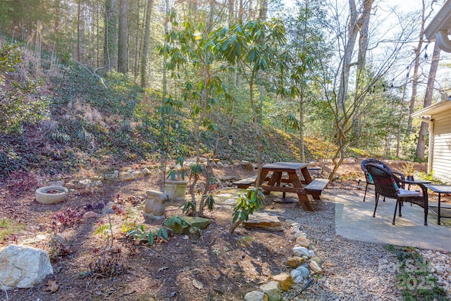 view of yard with a patio and a forest view