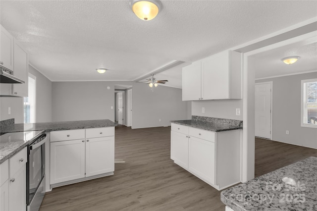 kitchen featuring a peninsula, stainless steel range with electric stovetop, light wood-style flooring, and white cabinets