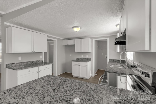 kitchen with stone counters, under cabinet range hood, dark wood-style flooring, a sink, and white cabinets