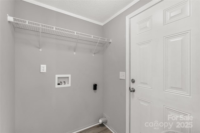 washroom featuring washer hookup, dark wood-type flooring, hookup for an electric dryer, a textured ceiling, and laundry area