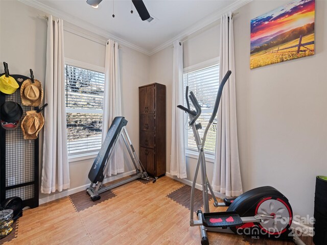 exercise room featuring ornamental molding, baseboards, ceiling fan, and light wood finished floors