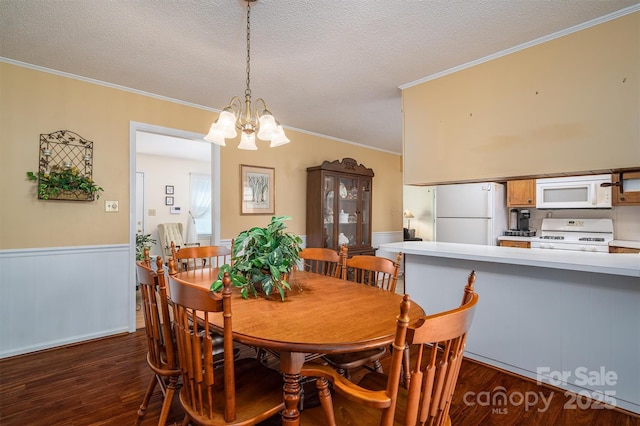 dining space featuring crown molding, a textured ceiling, dark wood-type flooring, and wainscoting