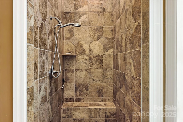 941 Wash Freeman Rd, Hendersonville, NC 28792 - bathroom view of tiled shower