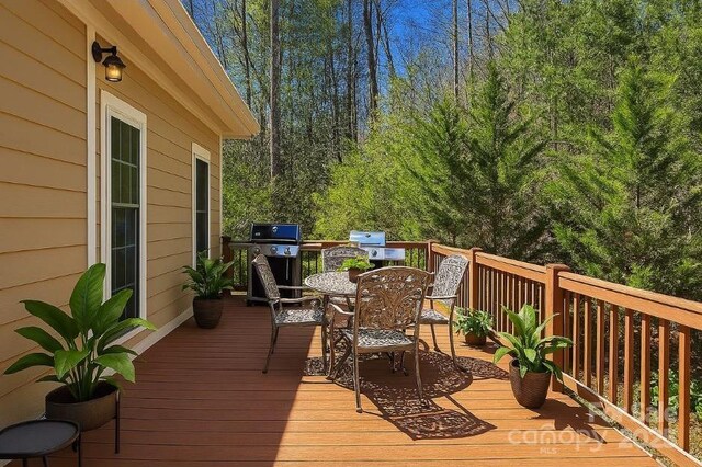 941 Wash Freeman Rd, Hendersonville, NC 28792 - photo 2