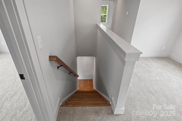 staircase with carpet flooring