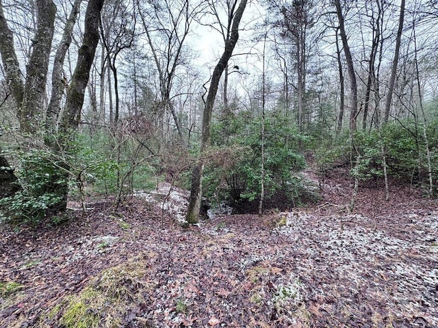 view of nature with a wooded view