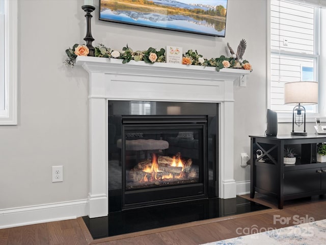 details featuring baseboards, wood finished floors, and a glass covered fireplace