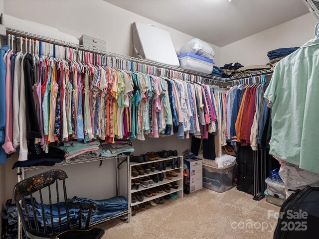 walk in closet featuring carpet