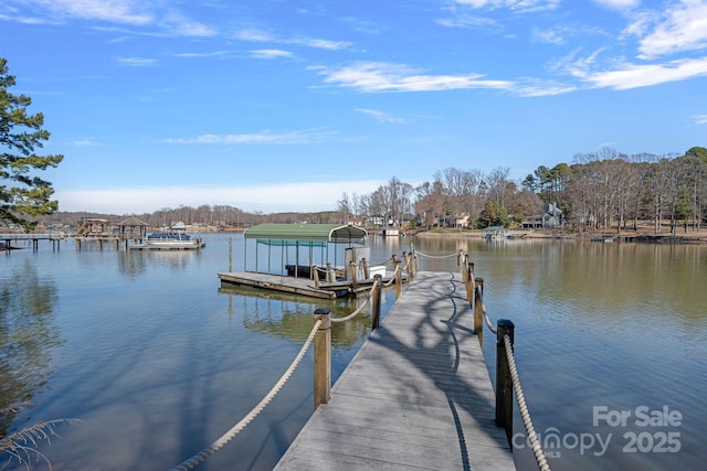 dock area with a water view