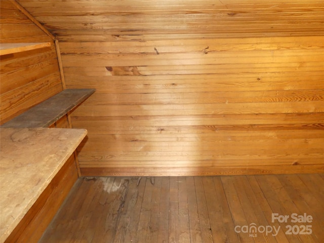 view of sauna featuring wood-type flooring