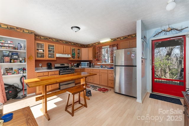 kitchen featuring light wood-type flooring, glass insert cabinets, light countertops, under cabinet range hood, and appliances with stainless steel finishes