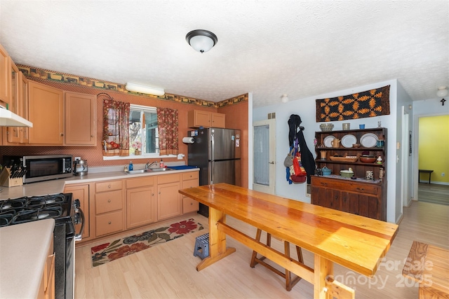 kitchen featuring under cabinet range hood, light countertops, a sink, light wood-style flooring, and appliances with stainless steel finishes