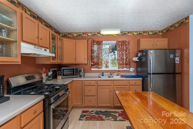 kitchen featuring light wood-style flooring, glass insert cabinets, under cabinet range hood, wooden counters, and appliances with stainless steel finishes