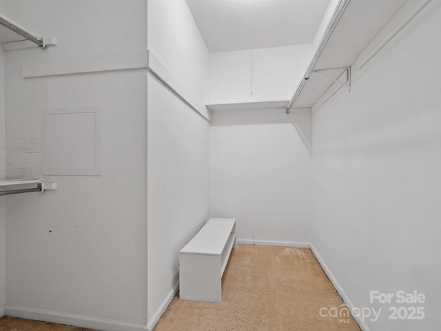 spacious closet featuring carpet flooring