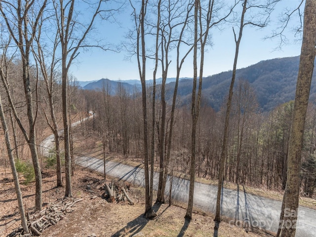 property view of mountains