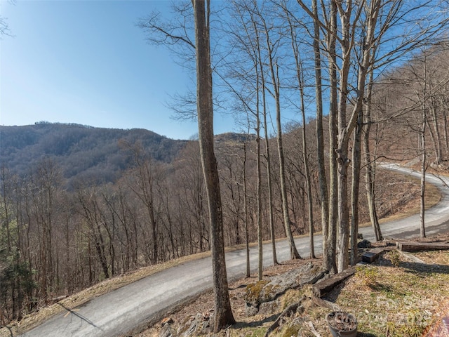 mountain view featuring a forest view