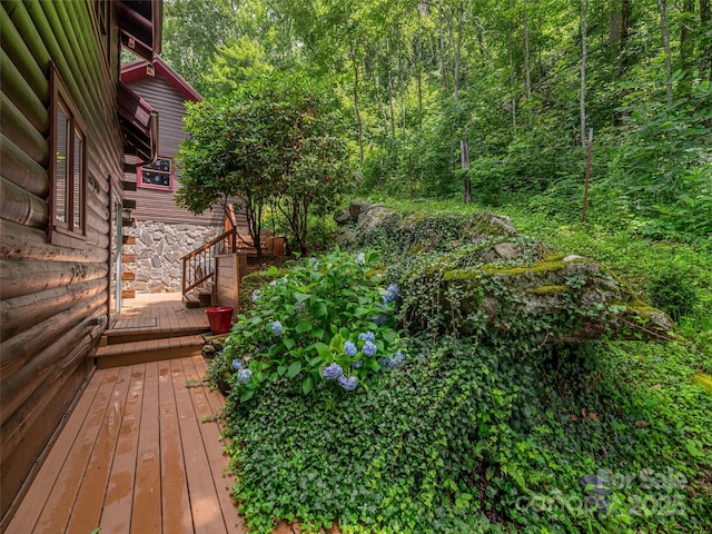 3424 Wesley Creek Rd, Clyde, NC 28721 - photo 30