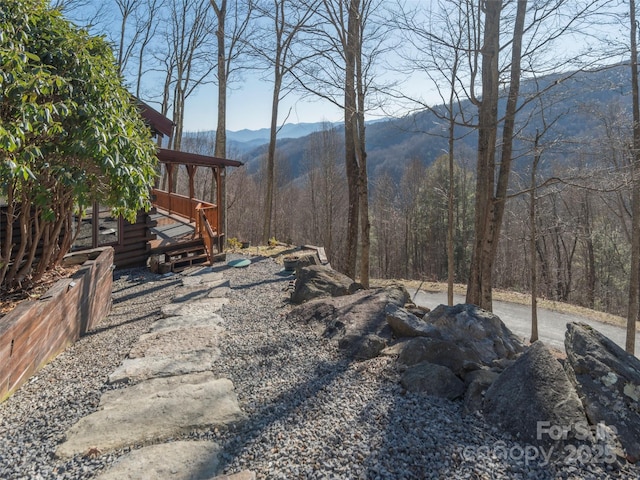 3424 Wesley Creek Rd, Clyde, NC 28721 - photo 41