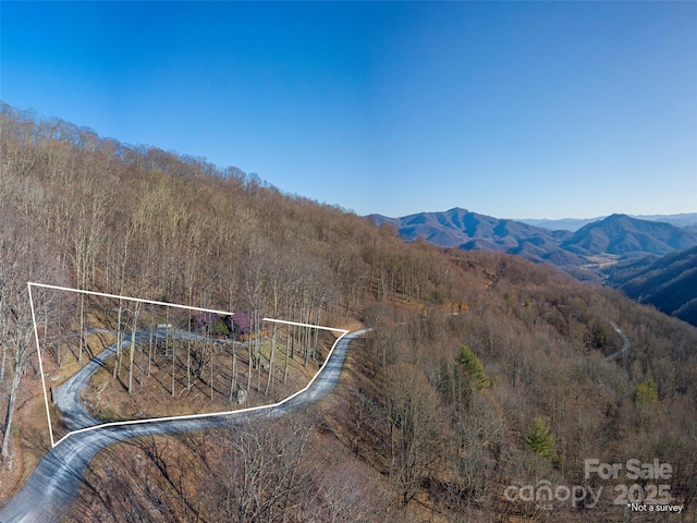 3424 Wesley Creek Rd, Clyde, NC 28721 - photo 45
