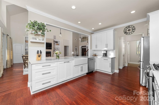 kitchen with dark wood-style flooring, crown molding, stainless steel appliances, a sink, and a peninsula