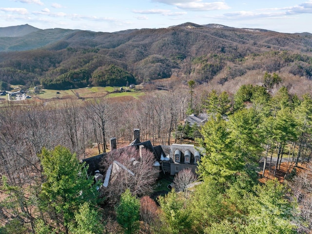 bird's eye view featuring a mountain view