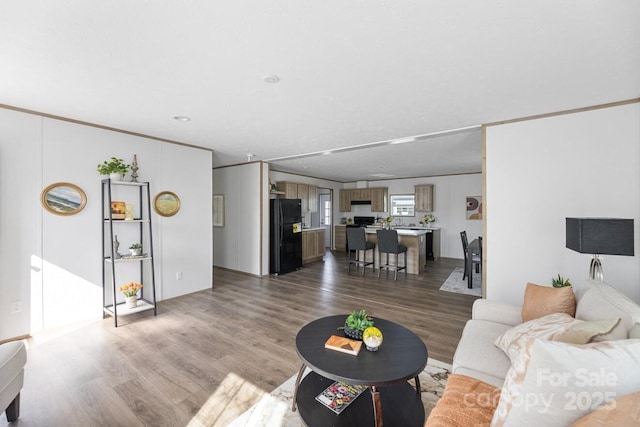 living area with wood finished floors and crown molding