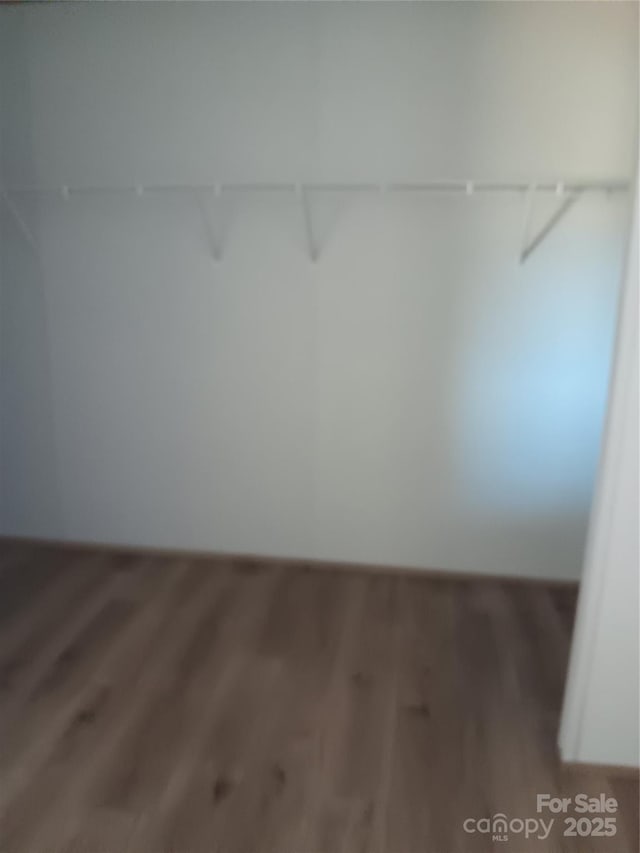 spacious closet with wood finished floors