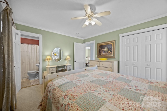 carpeted bedroom with a ceiling fan, connected bathroom, ornamental molding, and a closet