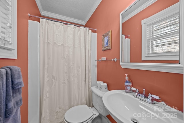 bathroom with toilet, crown molding, a textured ceiling, and a sink