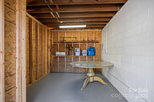 basement featuring concrete block wall