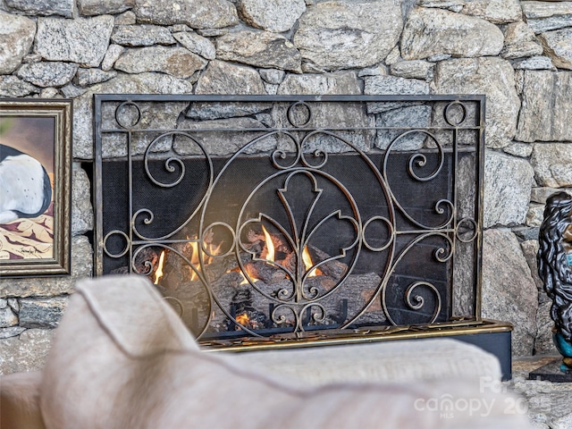 details with a warm lit fireplace and a gate