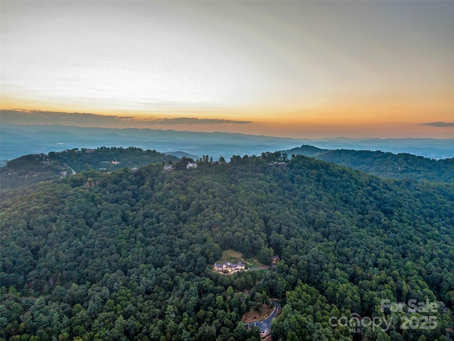 view of mountain feature featuring a forest view