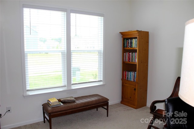 living area featuring baseboards and light colored carpet