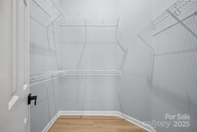 walk in closet featuring wood finished floors