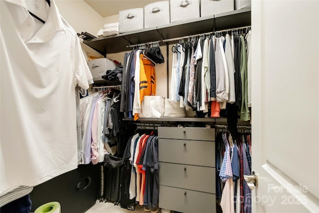 view of spacious closet