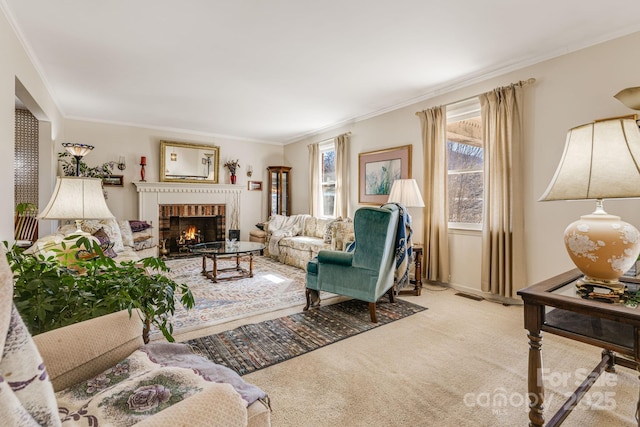 carpeted living area with a fireplace and ornamental molding