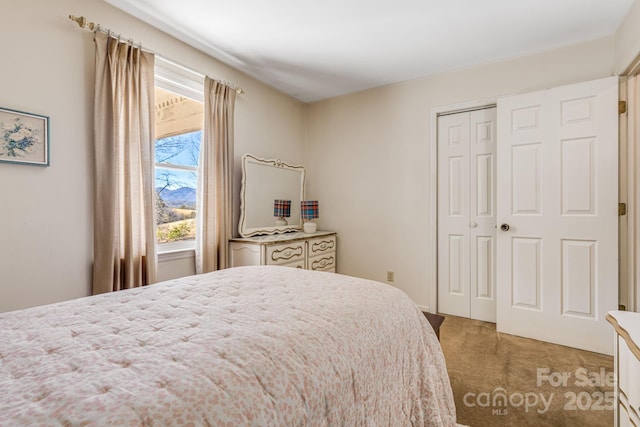 carpeted bedroom with a closet