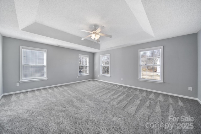 spare room with a raised ceiling, plenty of natural light, and baseboards