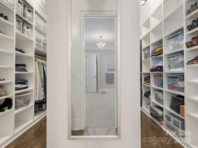 spacious closet with dark wood finished floors and a notable chandelier