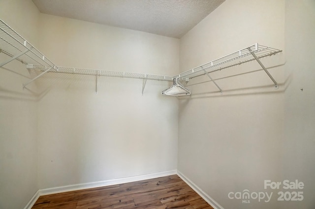 walk in closet featuring wood finished floors