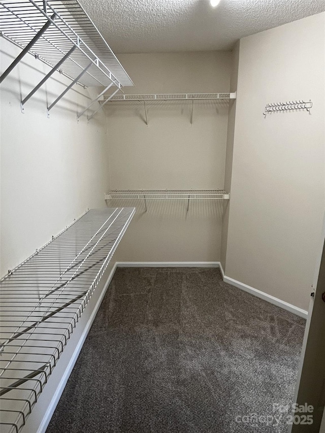 walk in closet featuring dark colored carpet