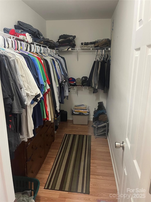 spacious closet with light wood-type flooring