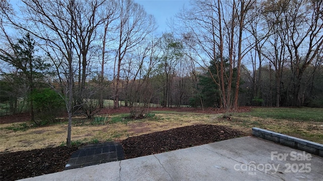621 Watts St NE, Valdese, NC 28690 - view of yard with a forest view