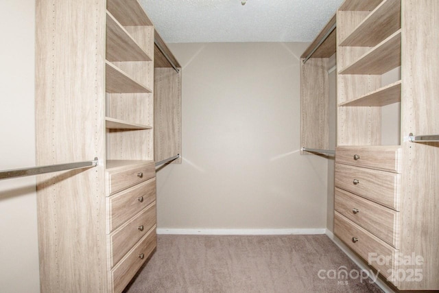 spacious closet featuring carpet